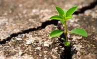 Learning to Cherish Life and Face Adversity through Suicide Bereavement