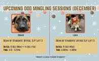 14/12 December Therapy Dog Session