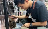 Bunny Rescue Revamp 兔兔關愛行動 (Oct 2026)
