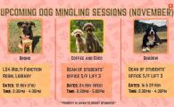 12/11 November Therapy Dog Session