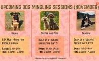 24/11 November Therapy Dog Session