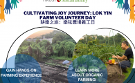  Lok Yin Farm Volunteering Day