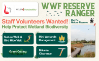 Impact Makers Staff Volunteering  - WWF Reserve Ranger