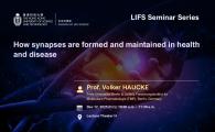 LIFS Seminar Series  - How synapses are formed and maintained in health and disease