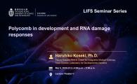 LIFS Seminar Series  - Polycomb in development and DNA damage responses