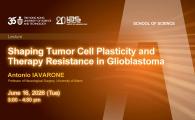 IAS / School of Science Joint Lecture - Shaping Tumor Cell Plasticity and Therapy Resistance in Glioblastoma