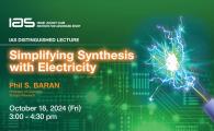 IAS Distinguished Lecture - Simplifying Synthesis with Electricity