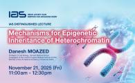 IAS Distinguished Lecture - Mechanisms for Epigenetic Inheritance of Heterochromatin