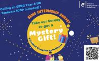 SENG Internship Survey – Spring 2023-24