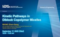 IAS / School of Engineering Joint Lecture - Kinetic Pathways in Diblock Copolymer Micelles