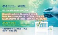  From Fundamental Mechanisms to Ideal Plant Architectures