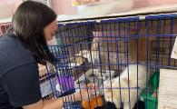 Cat Shelter “Purr-fecting” Action貓舍清潔大行動