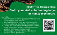 Tree Transplantation Activity