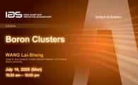 IAS / School of Science Joint Lecture - Boron Clusters