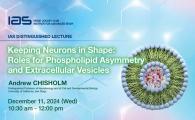  Roles for Phospholipid Asymmetry and Extracellular Vesicles