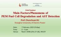 Main Factors/Phenomena of   PEM Fuel Cell Degradation and AST Detection