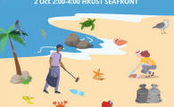 Beach Clean-up Activity 