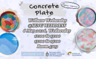  Concrete Plate Workshop