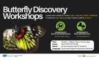 Butterfly Discovery Workshops