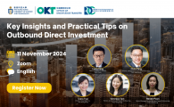 Key Insights and Practical Tips on Outbound Direct Investment