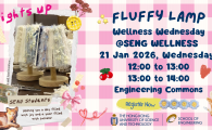  Fluffy Lamp Workshop 