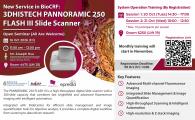  3DHISTECH PANNORAMIC 250 FLASH III Slide Scanner