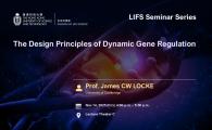 LIFS Seminar Series  - The Design Principles of Dynamic Gene Regulation