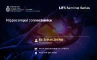 LIFS Seminar Series  - Hippocampal connectomics