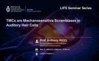 LIFS Seminar Series  - TMCs are Mechanosensitive Scramblases in Auditory Hair Cells