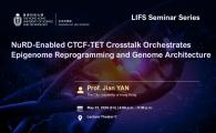 LIFS Seminar Series  - NuRD-Enabled CTCF-TET Crosstalk Orchestrates Epigenome Reprogramming and Genome Architecture