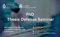 PhD Thesis Defense Seminar    - Mechanisms of Multiphase Organization in Biomolecular Condensates  