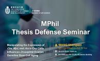 MPhil Thesis Defense Seminar  - Manipulating the Expression of Cbs, Myc, and rho in Cap Cells Influences Drosophila Ovarian Germline Stem Cell Aging