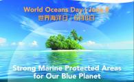 The 18th World Oceans Day Exhibition | 8 June 2026