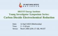                                                                   Carbon Dioxide Electrochemical Reduction