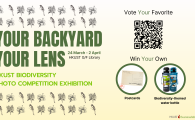 Your Backyard Your Lens – HKUST Biodiversity Photo Competition Exhibition & Voting