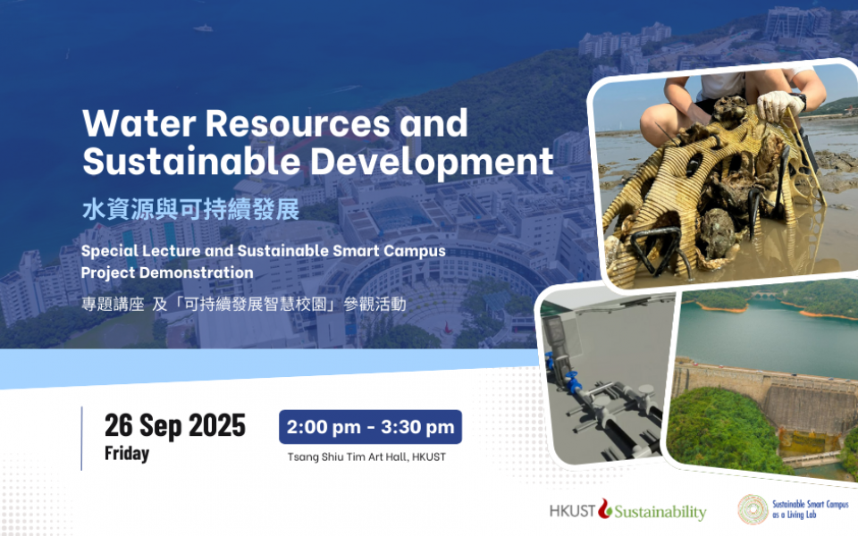 Water Resources and Sustainable Development: Special Lecture and ...